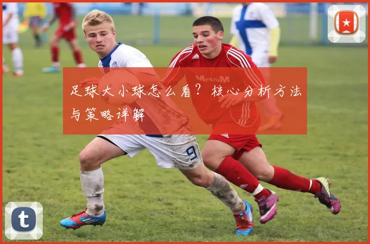 足球大小球怎么看?核心分析方法与策略详解