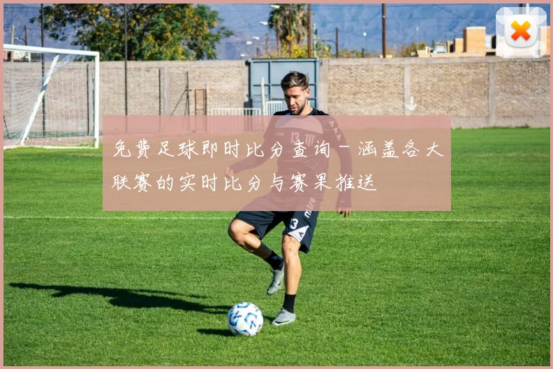 免费足球即时比分查询 - 涵盖各大联赛的实时比分与赛果推送