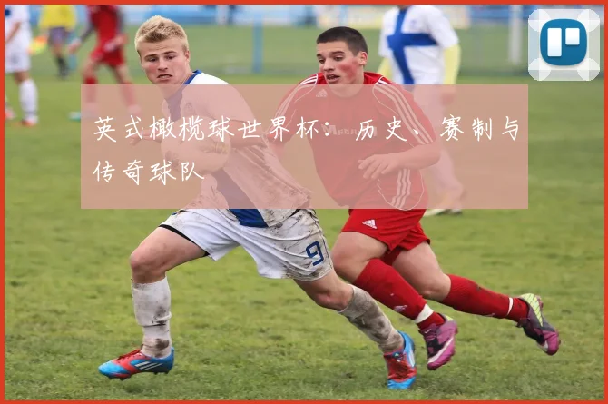 英式橄榄球世界杯:历史、赛制与传奇球队