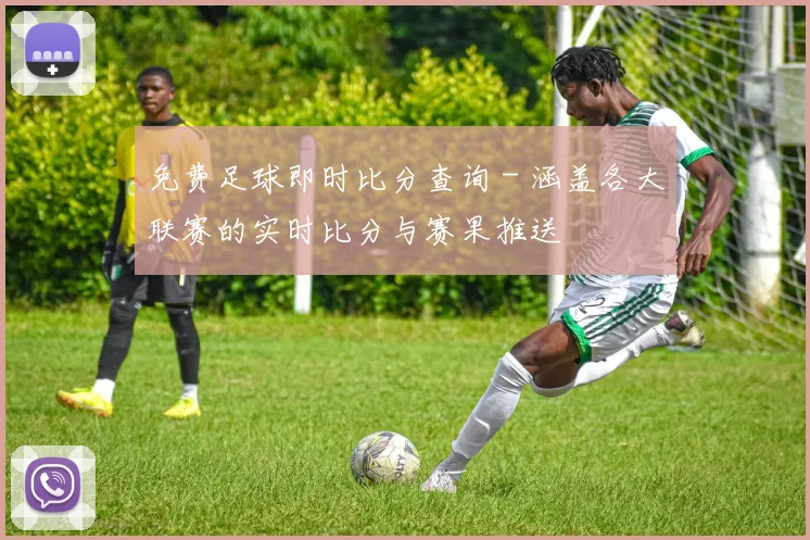 免费足球即时比分查询 - 涵盖各大联赛的实时比分与赛果推送