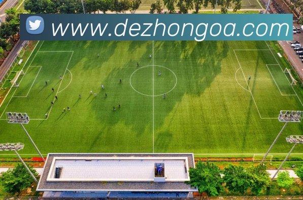 爱游戏体育平台生态图